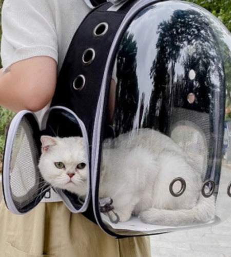 Mochila Bolso Transportes Transparente Mascotas Perros Gatos Negro