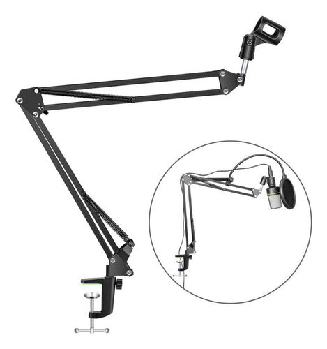 Kit Micrófono Estudio Condensador Profesional Bm800 + Brazo Negro/dorado