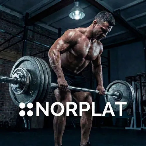 Barra Recta Norplat Preolimpica 120cm 4.2 Kg Fitness Cromada Plateado