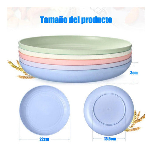 15 Platos Plásticos Reutilizable Colores 22cm - Norplat Multicolor Lisa