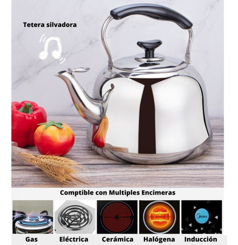 Tetera 3 Litros Acero Inoxidable Para Toda Encimera - Cukin Plateado