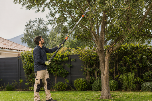 Persona utilizando una podadora de altura manual desde el suelo en un jardín de casa