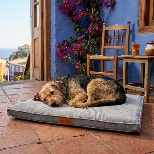 Cama Colchon Ortopedico Norplat 110cm Xxl Perro Antiestres  Gris Claro Ortopédico