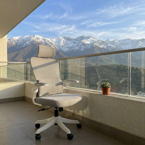 Silla Oficina Escritorio Ergonomica Norplat Lumbar Ultraflex