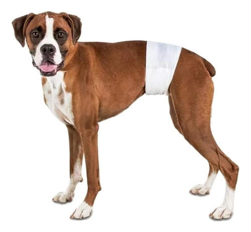 24 Pañales Perros Macho Pañal Para Gato - Norplat - Blanco - L