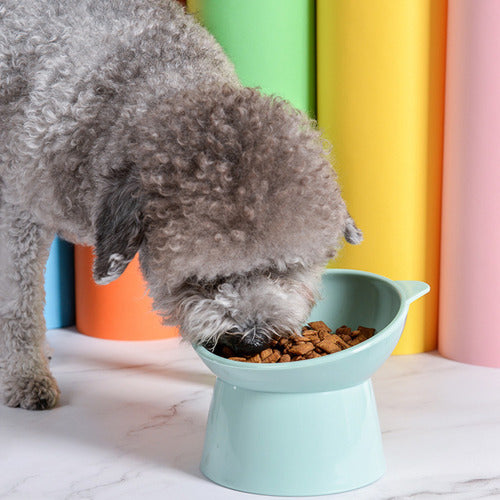 Cuenco Para Mascotas Inclinado Elevado Para Gatos Perros Wuf Azul