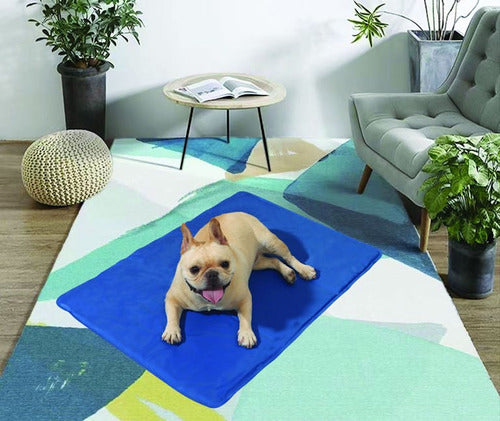 Manta De Gel Frio Refrescante 90x50cm L Perros Gatos Norplat Azul Liso