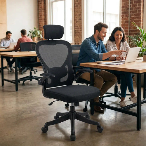 Silla Oficina Escritorio Ergonomica Norplat Lumbar Pro 4d