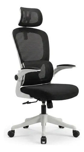Silla Oficina Escritorio Ergonomica Norplat Lumbar Ultraflex