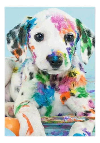 Bordado Pintura Diamante - 40x30cm Diseños Varios - Norplat 16 - Dalmata