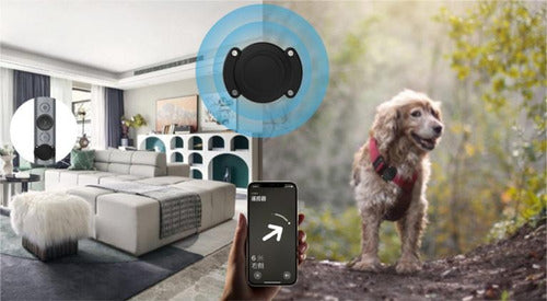 Soporte Collar Mascotas Para Airtag Impermeable Resistente Negro Tag M