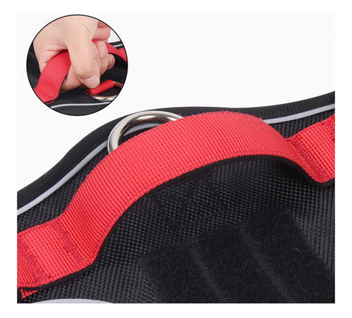 Arnés Anti Tirones Ajustable Reflectante Perro S-xl Norplat Negro L