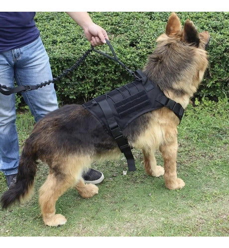 Arnés Táctico Ajustable Lanzamiento Perros Grandes Norplat Negro M Tactico Profesional