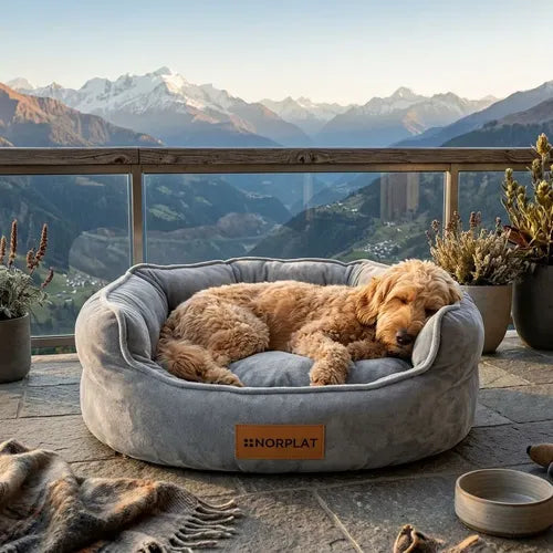 Cama Antiestres Norplat Perro Gato Con Cojín Reversible 60cm Gris Cama Antiestres Reversible