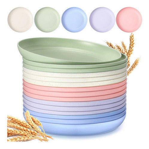 15 Platos Plásticos Reutilizable Colores 22cm - Norplat Multicolor Lisa
