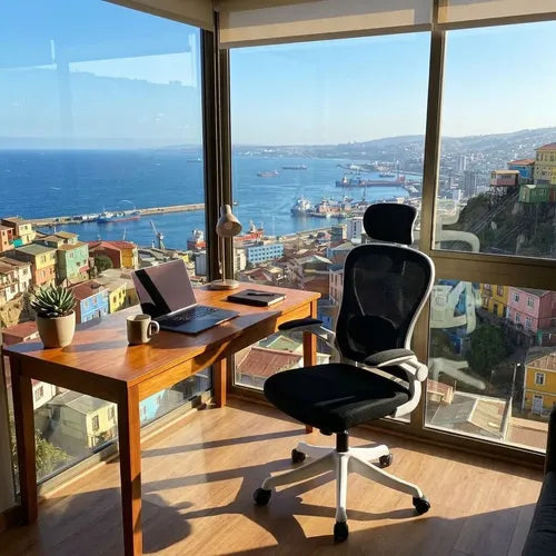 Silla Oficina Escritorio Ergonomica Norplat Lumbar Pro 4d