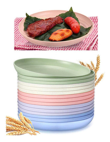 15 Platos Plásticos Reutilizable Colores 22cm - Norplat Multicolor Lisa