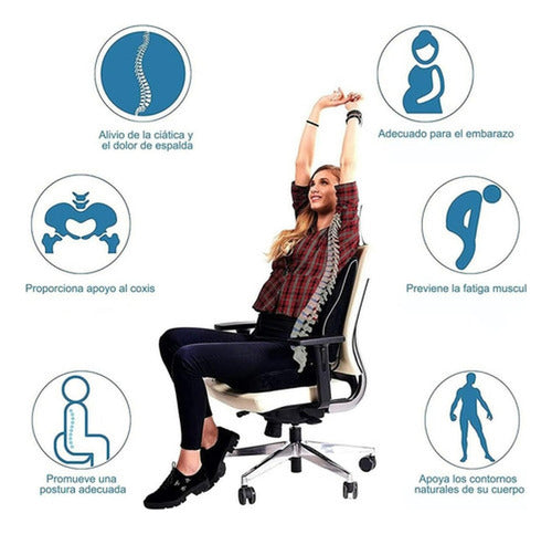 Cojin Lumbar Ergonomico + Asiento Sillas Oficina - Norplat Negro Liso