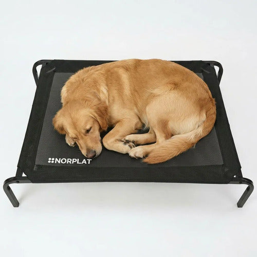 Cama Elevada Norplat Altura Para Perro Gato Talla L Grande Elevada