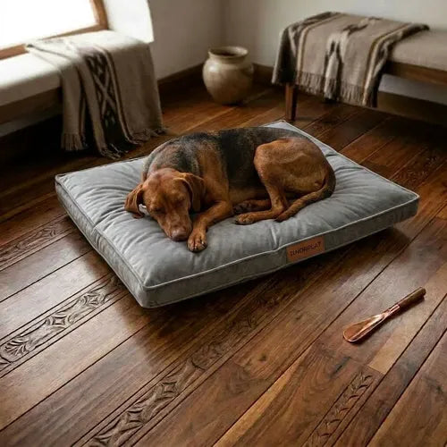 Cama Colchon Ortopedico Norplat 90cm Xxl - Perro Antiestres  Gris Claro Ortopédico