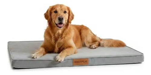 Cama Colchon Ortopedico Norplat 110cm Xxl Perro Antiestres  Gris Claro Ortopédico
