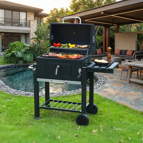 Parrilla Carbón Tapio Norplat Asado Elevador Bbq Grill Rueda Negro
