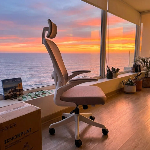 Silla Oficina Escritorio Ergonomica Norplat Lumbar Pro 4d