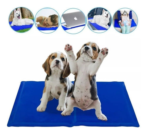Manta De Gel Frio Refrescante 90x50cm L Perros Gatos Norplat Azul Liso