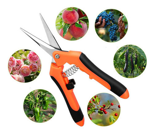 3 Tijeras Podadoras Norplat - Tijeron Poda Acero Inoxidable Multicolor