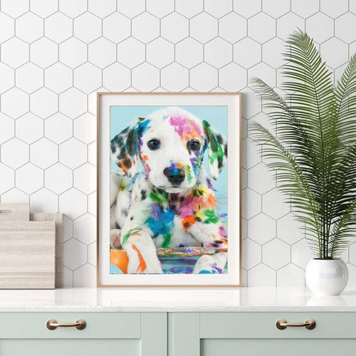 Bordado Pintura Diamante - 40x30cm Diseños Varios - Norplat 16 - Dalmata