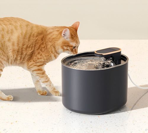 Fuente Agua Bebedero Perro Gato Mascota Luz Filtro - Norplat Negro