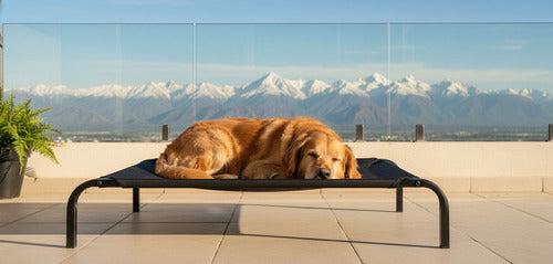 Cama Elevada Altura Para Mascota Perro Gato Talla M Norplat Negro Elevado