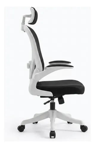 Silla Oficina Escritorio Ergonomica Norplat Lumbar Pro 4d
