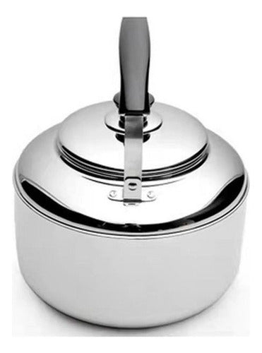 Tetera De Acero Inoxidable Cuello Cisne 5 Litros - Norplat Plateado