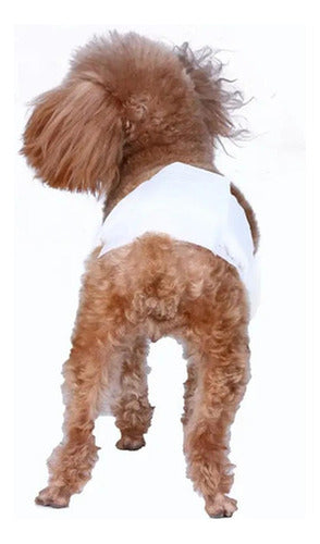 24 Pañales Perros Macho Pañal Para Gato - Norplat Blanco Xl