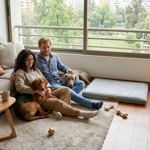 Cama Colchon Ortopedico Norplat 90cm Xxl - Perro Antiestres  Gris Claro Ortopédico