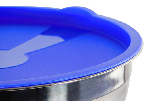 Pack De 5 Bowls Para Alimentos Herméticos - Colores Surtidos Plateado