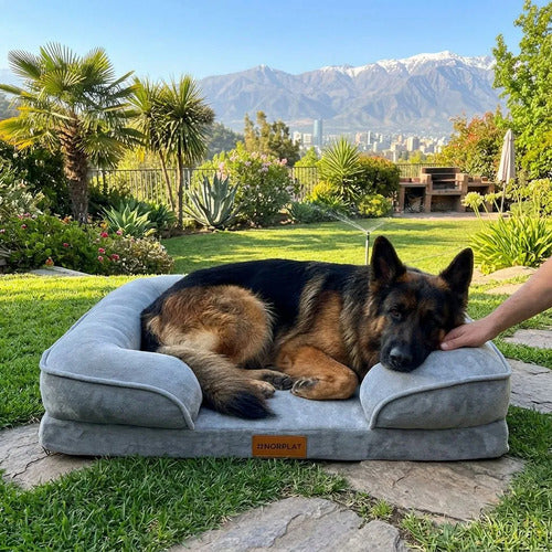 Cama Antiestres Norplat 90cm Xl - Perro Colchon Ortopédica  Gris Claro Ortopédico