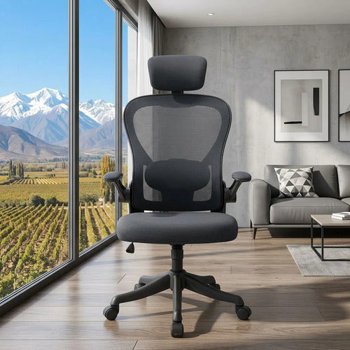 Silla Oficina Escritorio Ergonomica Norplat Lumbar Pro 4d