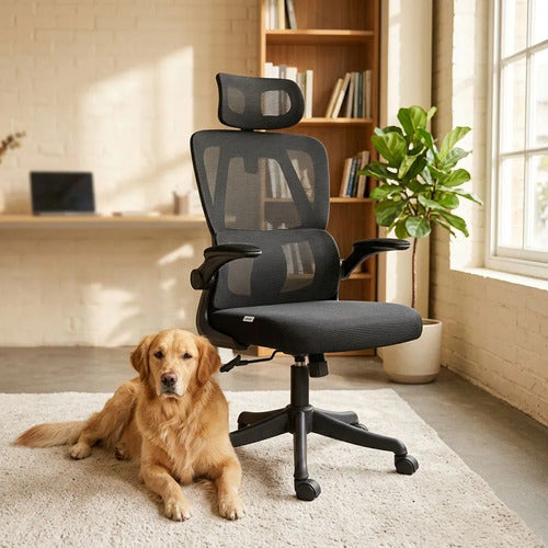 Silla Oficina Escritorio Ergonomica Norplat Lumbar Ultraflex