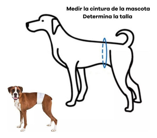 24 Pañales Perros Macho Pañal Para Gato - Norplat - Blanco - S