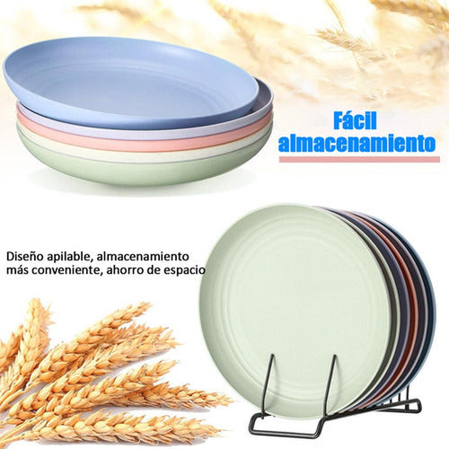 15 Platos Plásticos Reutilizable Colores 22cm - Norplat Multicolor Lisa