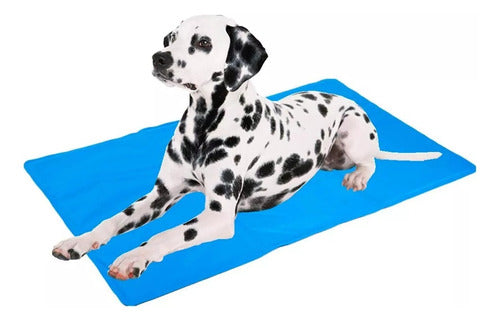 Manta De Gel Frio Refrescante 90x50cm L Perros Gatos Norplat Azul Liso