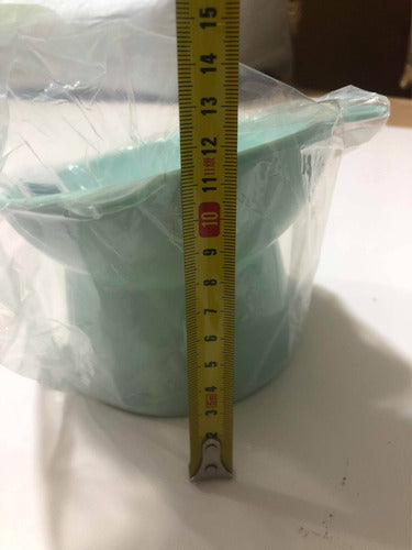 Cuenco Para Mascotas Inclinado Elevado Para Gatos Perros Wuf Verde