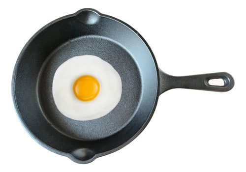 Sarten Hierro Fundido Norplat 20cm Redondo Para Freir Cocina Negro