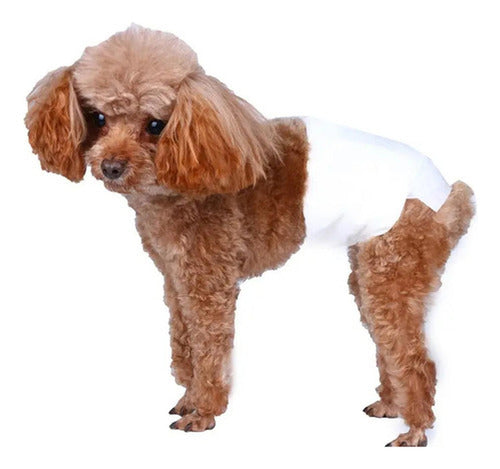 24 Pañales Perros Macho Pañal Para Gato - Norplat - Blanco - L