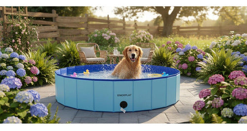 Piscina Para Perros Plegable Verano Mascotas 160x30 Norplat