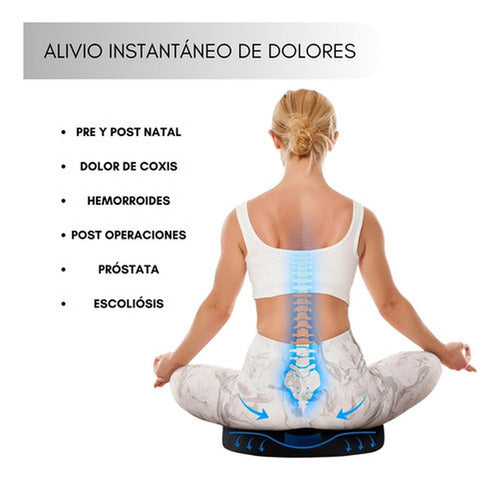 Cojin Antiescaras Picaron Ortopedico Lavable Funda - Norplat Negro