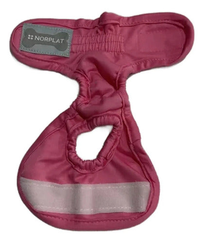 Calzón Celo Perra Pañal Lavable Reutilizable Norplat Rosa M
