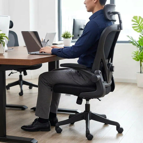 Silla Oficina Escritorio Ergonomica Norplat Lumbar Pro 4d